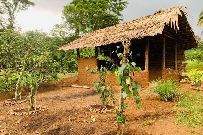 Interactive Cinnamon and Spices Experience at Warala Watta Farm - Exploring Warala Watta Farm: A Practical Perspective