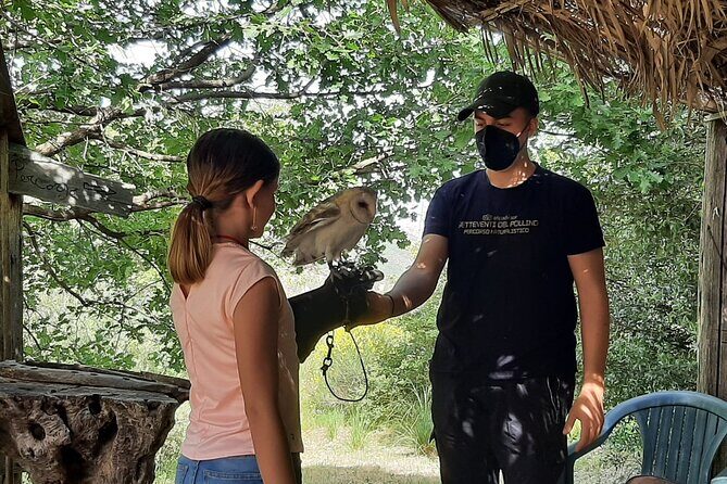 Interactive Educational Course on Birds of Prey - Final Thoughts: Who Will Love This Experience?