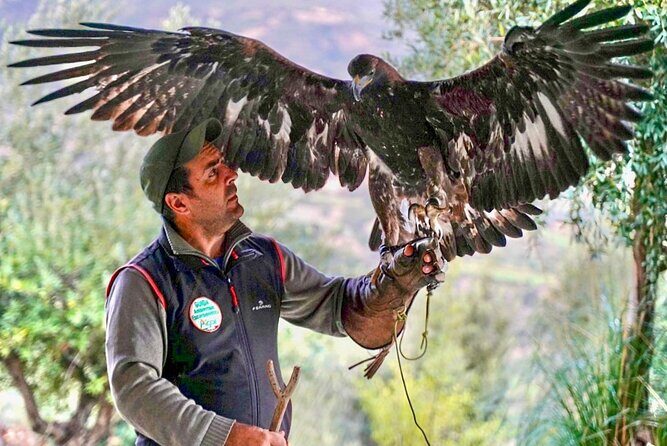 Interactive Educational Course on Birds of Prey - Frequently Asked Questions