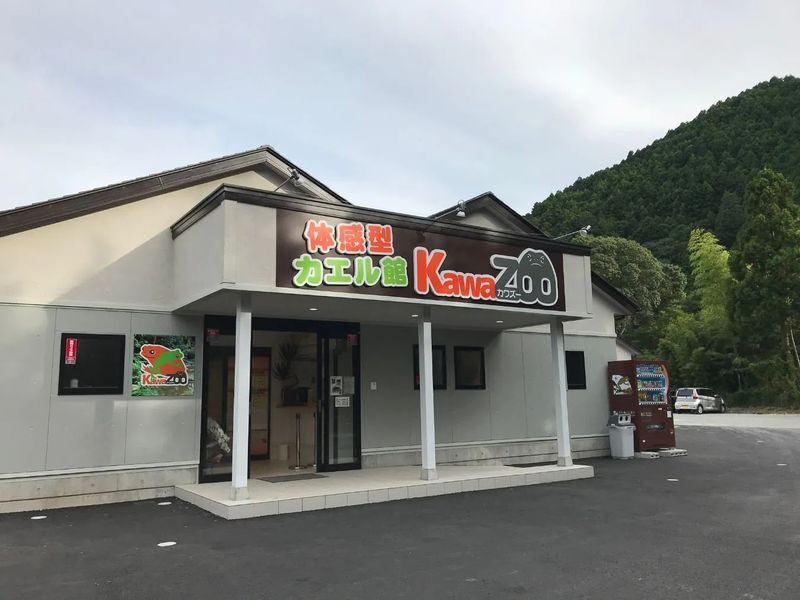 Interactive Frog Museum KawaZoo - How long to stay