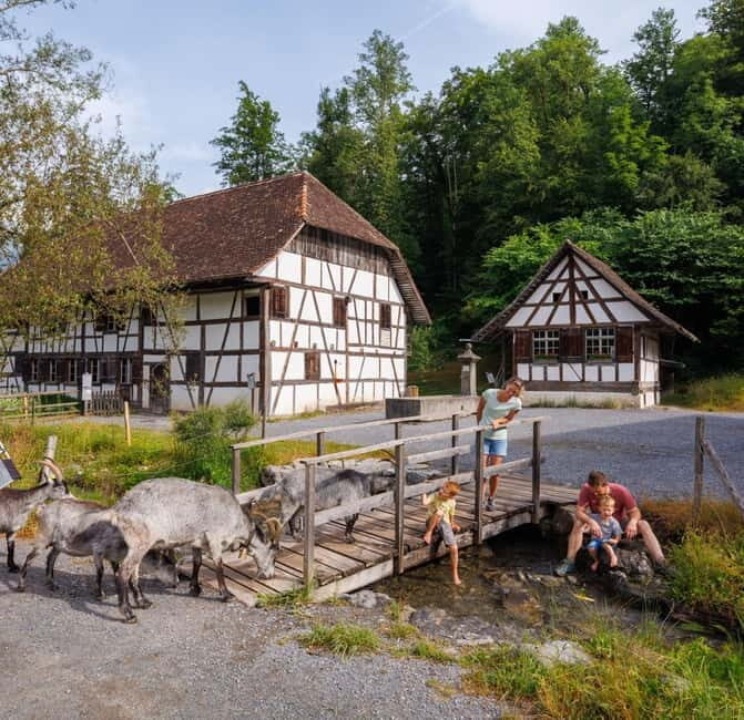 Interlaken: Admission ticket for the Ballenberg Open-Air Museum - Final Thoughts