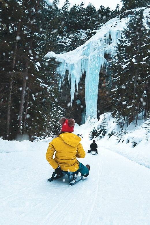 Interlaken: Guided Sledging Adventure - A Closer Look at the Sledging Adventure in Interlaken