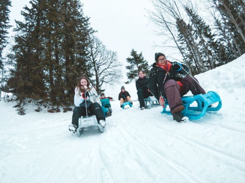 Interlaken: Guided Sledging Adventure - Who Should Consider This Sledging Adventure?