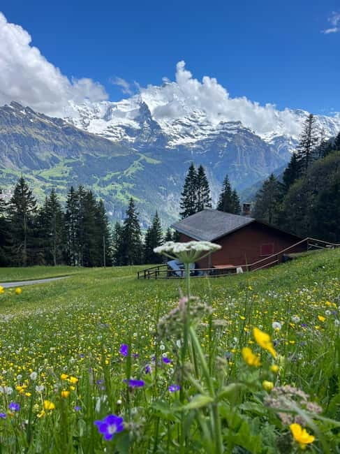 Interlaken: hike to an Alpine Lake and a Cozy Mountain Hut. - Discover the Swiss Alps with a Unique Hiking Experience in Interlaken