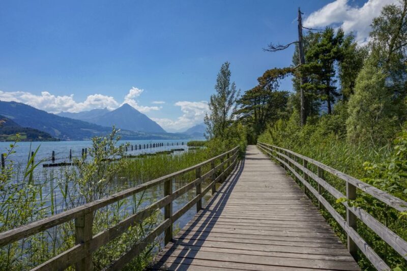 Interlaken: Insta-Perfect Walk with a Local - Key Points
