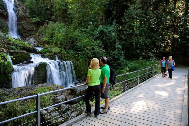 Interlaken & Jungfrau: Custom-Tailored Tour with Local Guide - Key Points
