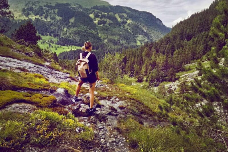 Interlaken: Rosenlaui Hike with Gorge & Alpine Hut Visit - Exploring the Rosenlaui Hike: An In-Depth Look