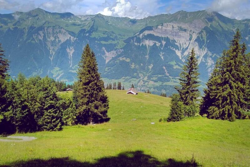 Interlaken: Scenic Walk and Raclette by the Mountain Lake - Authentic, Unforced Swiss Experience