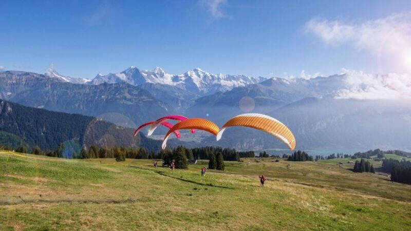 Interlaken: Tandem Paragliding Flight with Pilot - A Close Look at the Paragliding Experience