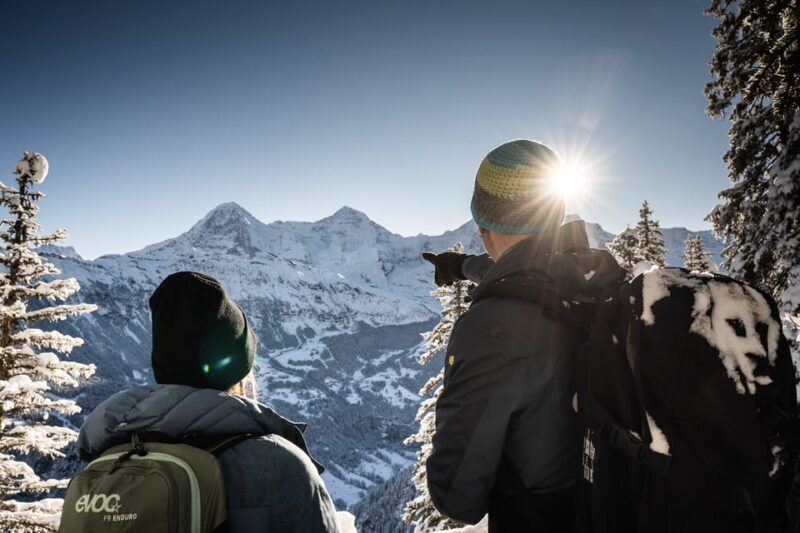 Interlaken: Winter Alpine Adventure - Snowshoe and Sledding - The Practical Side: Transportation, Timing, and Group Size