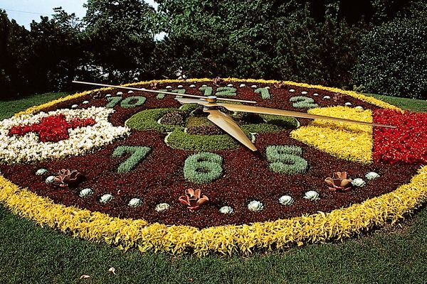 International & Panoramic Tours Geneva - Exploring Geneva’s International District in 75 Minutes