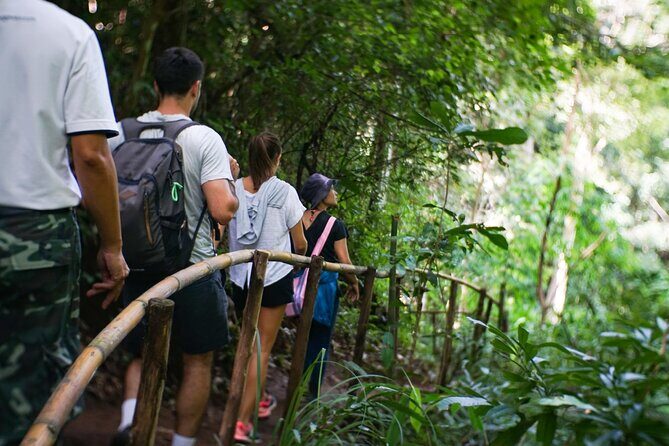 Inthanon National Park Tour with Soft Hike at Pha Dok Siew Trail - Exploring Inthanon National Park: What to Expect