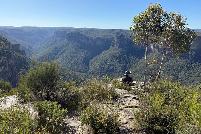 Intimate Blue Mountains Wild Kangaroos & Sunset for Nature Lovers - Final Thoughts