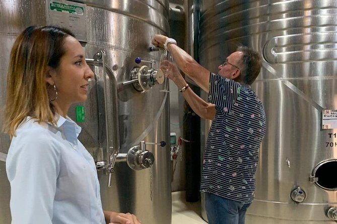 Intimate Wine Tour with Wine Pairing Lunch - Key Points