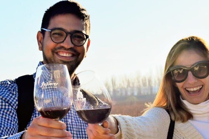 Intimate Wine Tour with Wine Pairing Lunch - The Sum Up