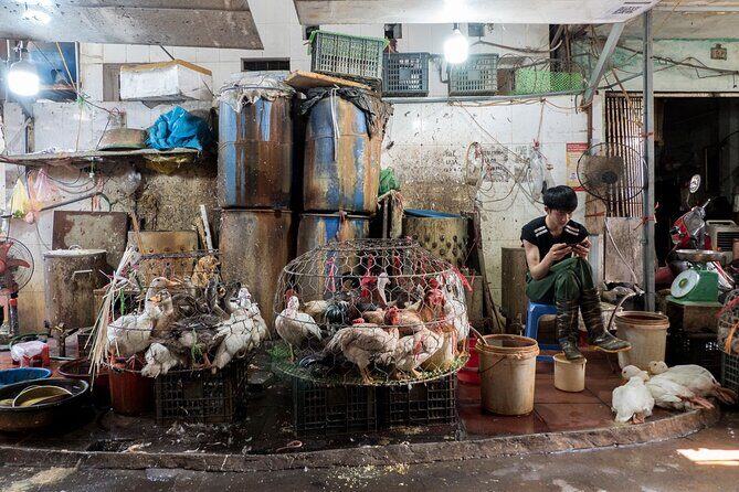 Into the Thieves Market Hanoi Photo Tour - Who Is This Tour Best For?