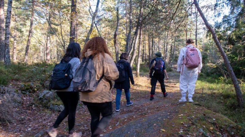 Into the wild - a sensorial experience in Stockholm's woods - The Sum Up
