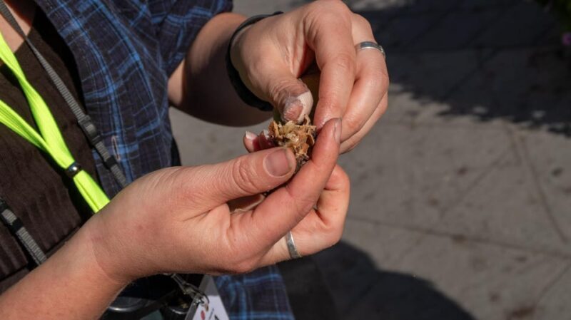 Into the wild - a sensorial experience in Stockholm's woods - FAQ