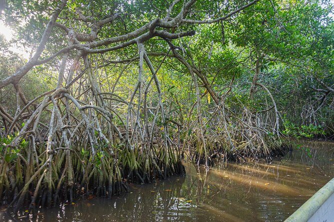 Into the Wild: Canoeing & Birdwatching in La Boquillas Untouched - Why This Tour Delivers Excellent Value