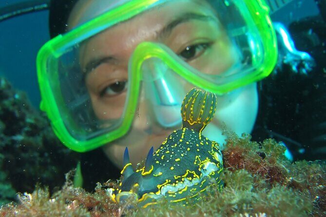 Intro Dive in Dubrovnik - What Makes the Dubrovnik Intro Dive Stand Out