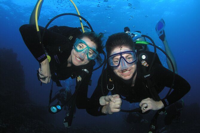 Intro/Refresher Dive Swim Ability Required - Intro/Refresher Dive Swim Ability Required