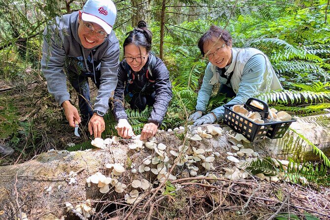 Intro to Seattle Mushroom Foraging - Into the Forest: Learning Through Experience