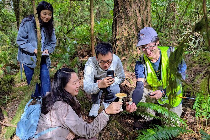 Intro to Seattle Mushroom Foraging - Identifying Mushrooms: Edible, Toxic, and Inedible