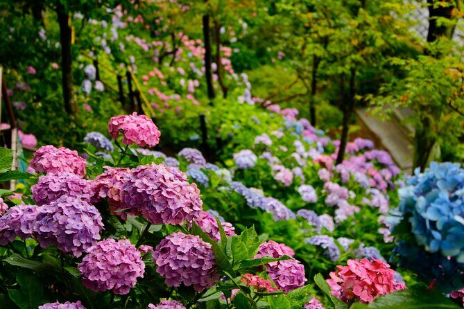 Introducing all the Famous Spots in Kamakura and Enoshima! - Final Thoughts