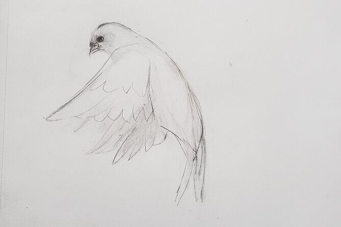 Introduction to Drawing - Introduction to Drawing in Puerto Vallarta: A Creative Escape on the Beach