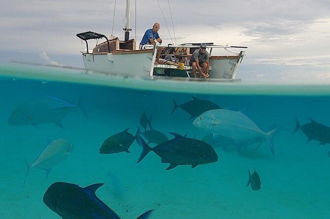 Introduction to sailing and discovering the lagoon - FAQ