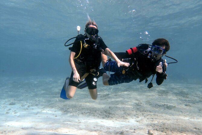 Introductory Diving Class in the Cozumel Reefs - Meeting the Adventure: From Marina to Reef