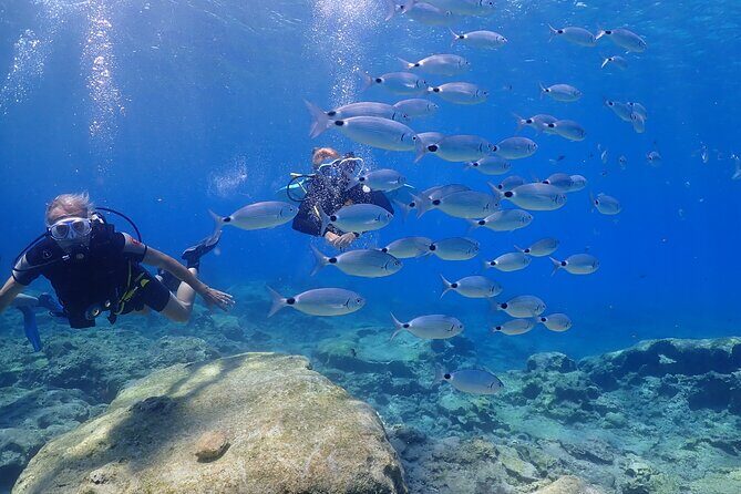 Introductory diving in small groups - FAQ