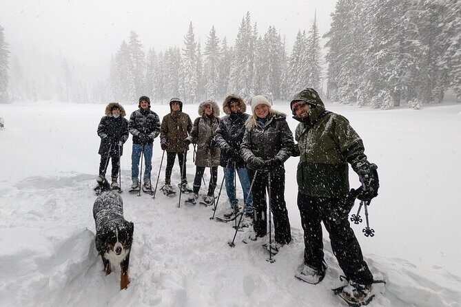 Introductory Guided Snowshoe Tour - Final Thoughts