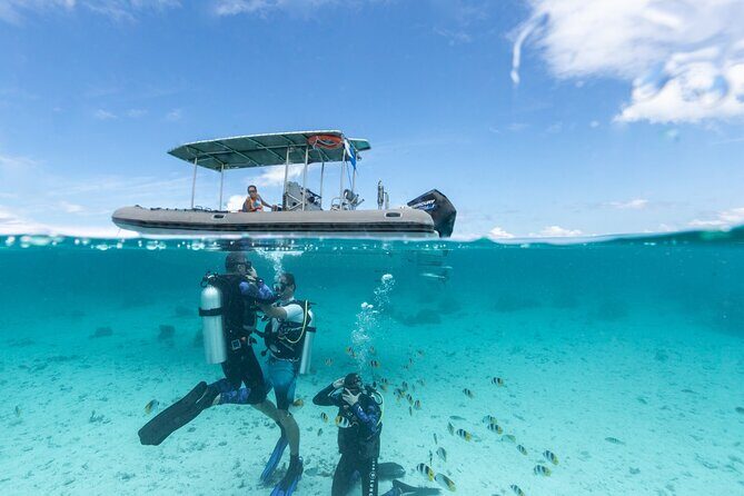Introductory Scuba Diving Experience in Bora Bora - Introduction: A Perfect Intro to Scuba in Bora Bora
