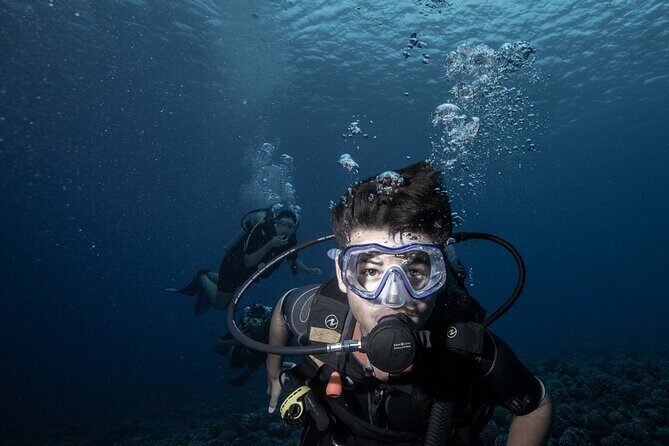 Introductory Scuba Diving Experience in Bora Bora - Exploring the Experience in Detail