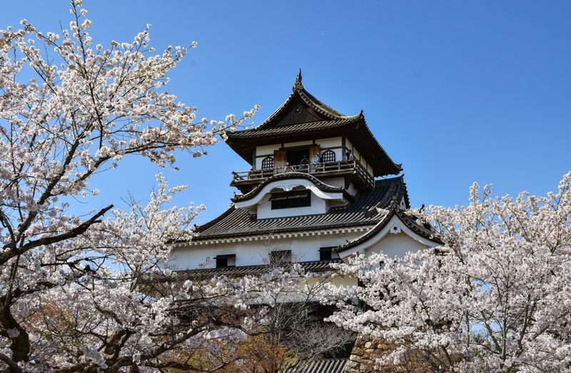 Inuyama Castle, Ena Gorge, Magome-juku & Tsumago-juku (From Nagoya) - The day’s highlights