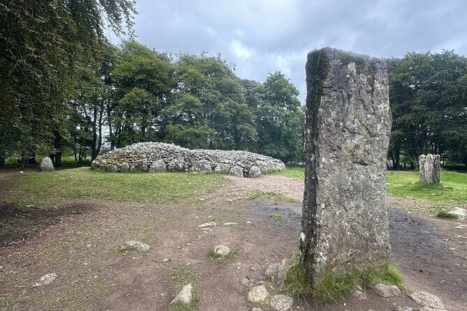 INVERGORDON Highland Shore Excursion for up to 14 pax (Private) - The Sum Up