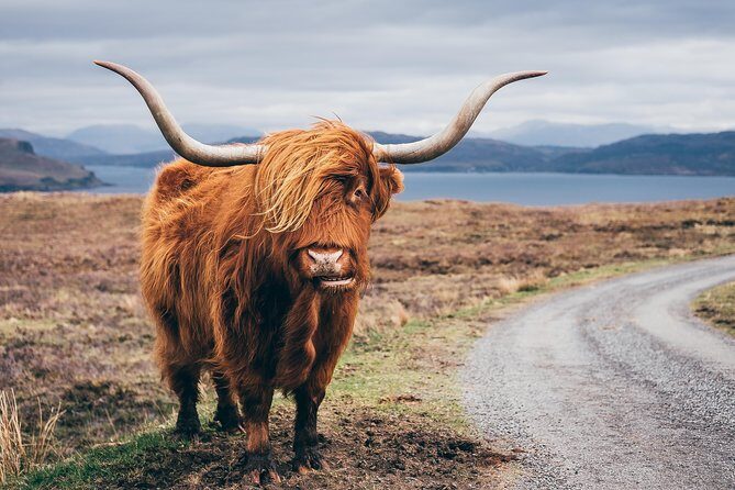Inverness: Applecross, Loch Carron & the Wild Highlands - FAQ