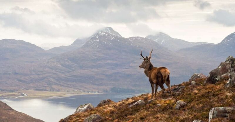 Inverness: Applecross, Loch Carron & Wild Highlands Day Tour - A Deep Dive into the Highland Adventure