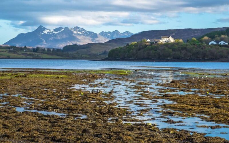 Inverness: Isle of Skye, Fairy Pools, & Castles Day Trip - Final Thoughts