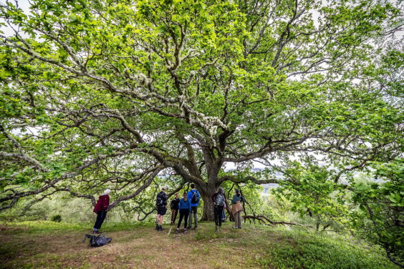 Inverness: Lochs, Waterfalls and Rewilding Experience - Exploring the Highlands: What to Expect from This Tour