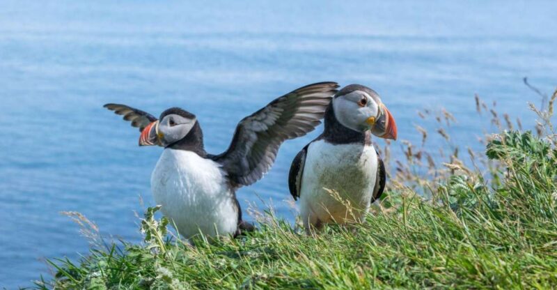 Inverness: Moray Coast, Wildlife and Speyside Whisky Tour - A Deep Dive into the Moray Coast Tour Experience