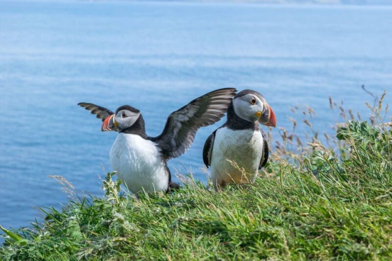 Inverness: Moray Coast, Wildlife and Speyside Whisky Tour - Authentic Experiences and Honest Insights
