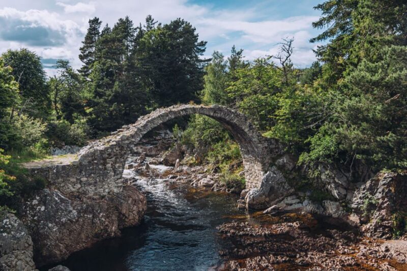 Inverness: Moray Coast, Wildlife and Speyside Whisky Tour - Practical Considerations for Travelers