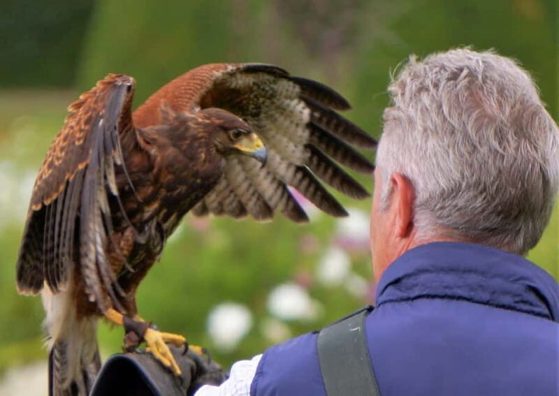 Inverness: Relaxed Private Northern Scottish Highlands Tour - Key Points