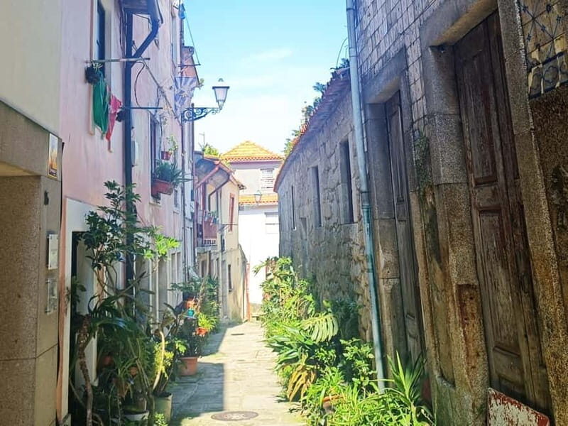 Invincible City of Porto Walking Tour - The Sum Up: Who Will Love This Tour?