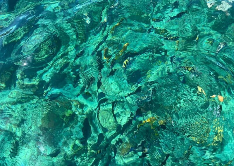 Invisible Boat & Snorkeling Experience at Nassau - Who Would Benefit Most from This Tour?