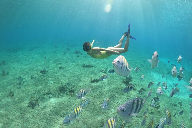 Invisible Boat Snorkeling Tour - Who Should Consider This Tour?