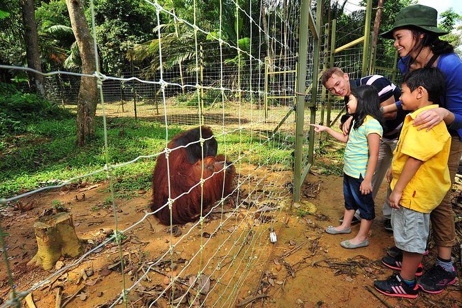 Ipoh Private Day Trip from Kuala Lumpur with Lunch - Practical Insights