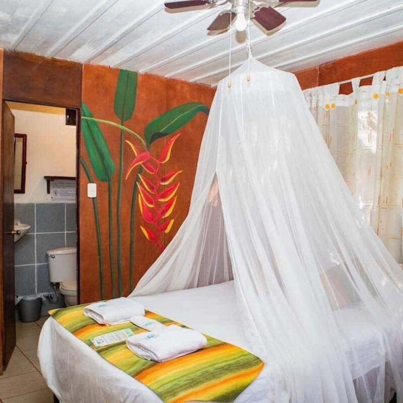 Iquitos: 2 Days and 1 Night Guided Amazon Jungle Tour - FAQ